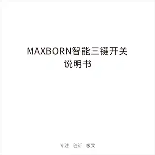 MAXBORN 智能三键开关